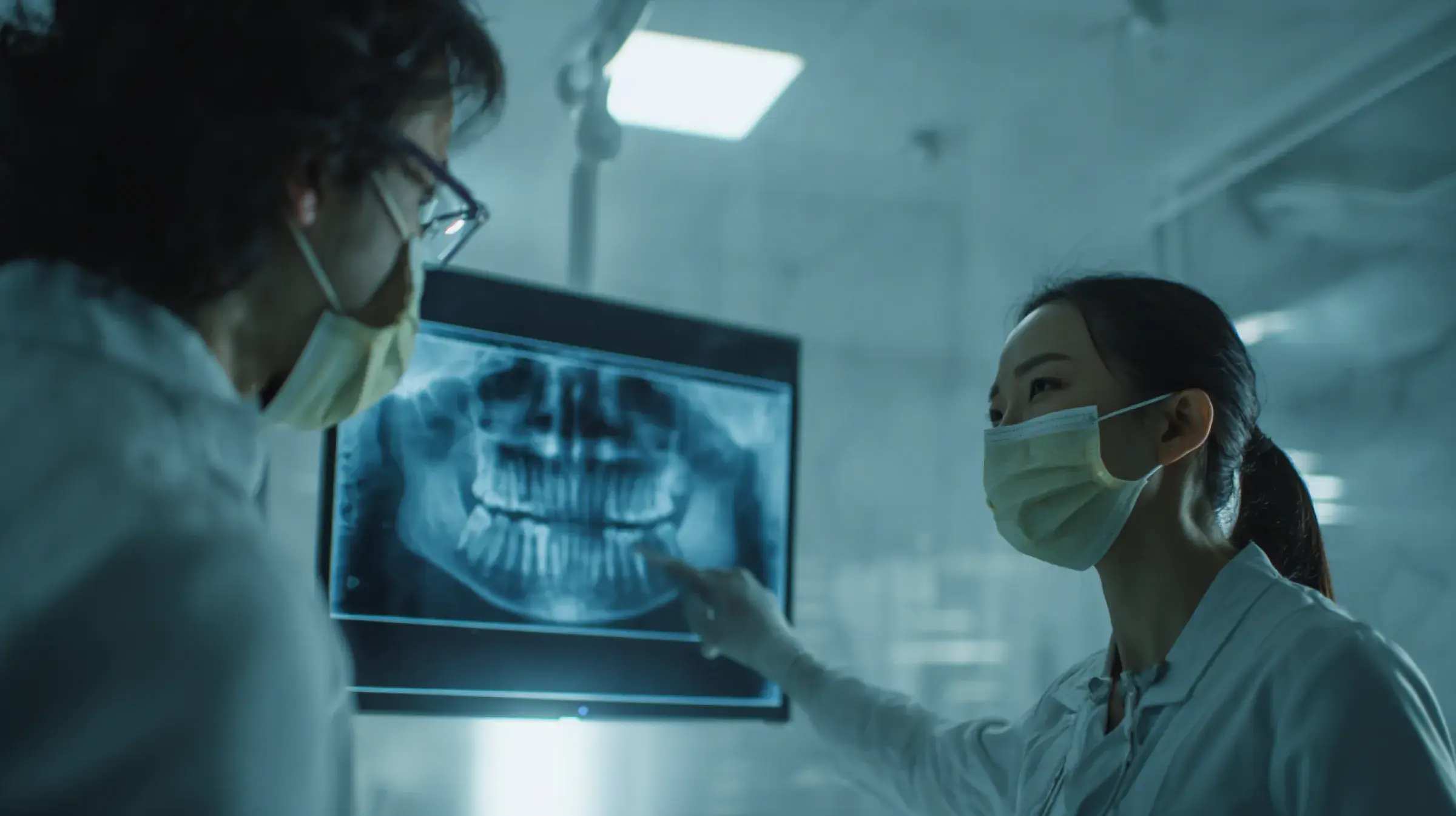 Hoya Article Stock 119