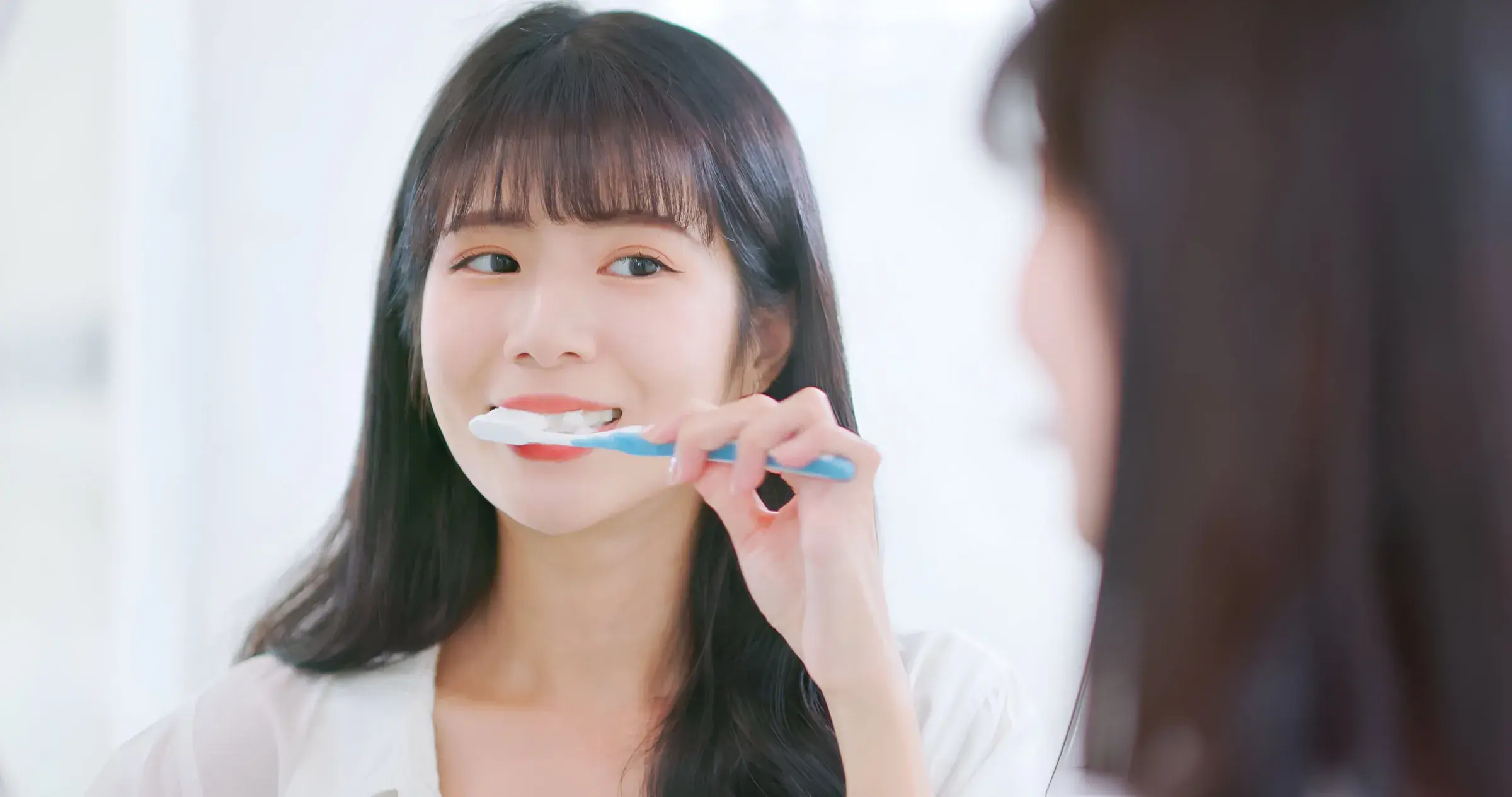 Hoya Article Stock 108